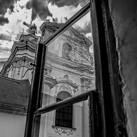 Penzion U Borovicku Litoměřice Bagian luar foto
