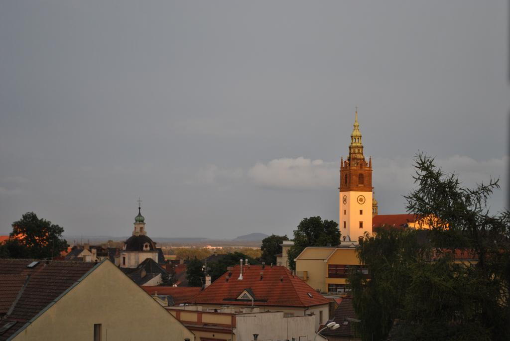 Penzion U Borovicku Litoměřice Bagian luar foto
