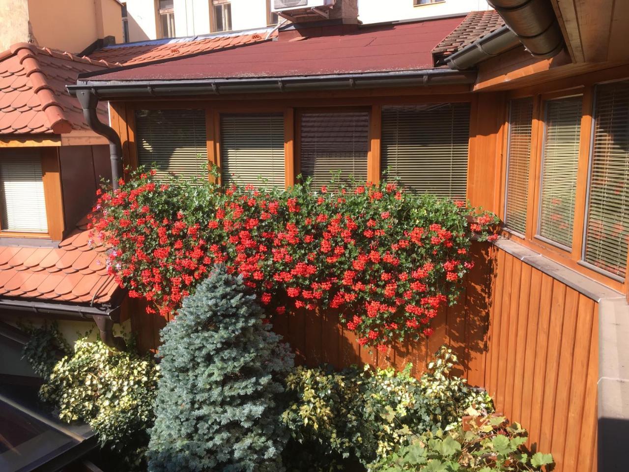 Penzion U Borovicku Litoměřice Bagian luar foto